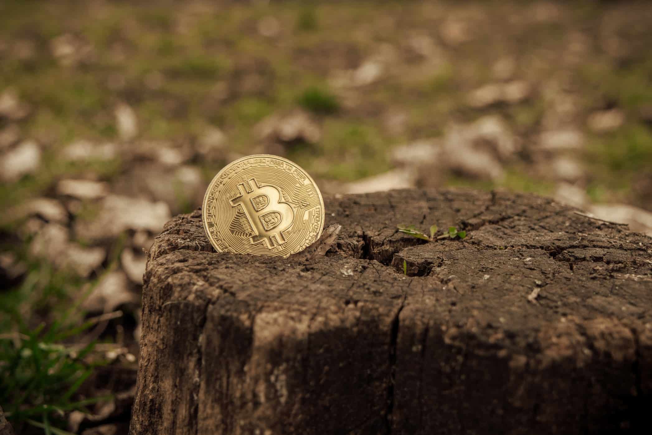 The Environmental Impact of Cryptocurrencies